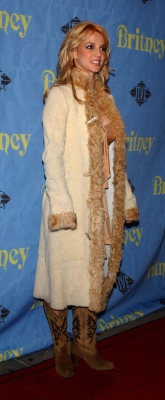 137.jpg