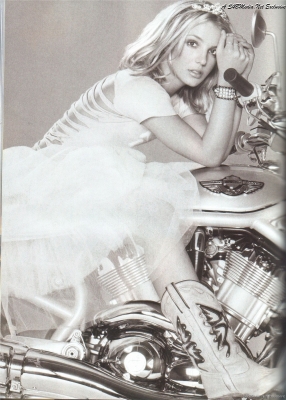 03.jpg