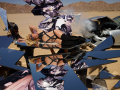 Britney-Online_net-BS231.png
