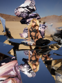 Britney-Online_net-BS236.png